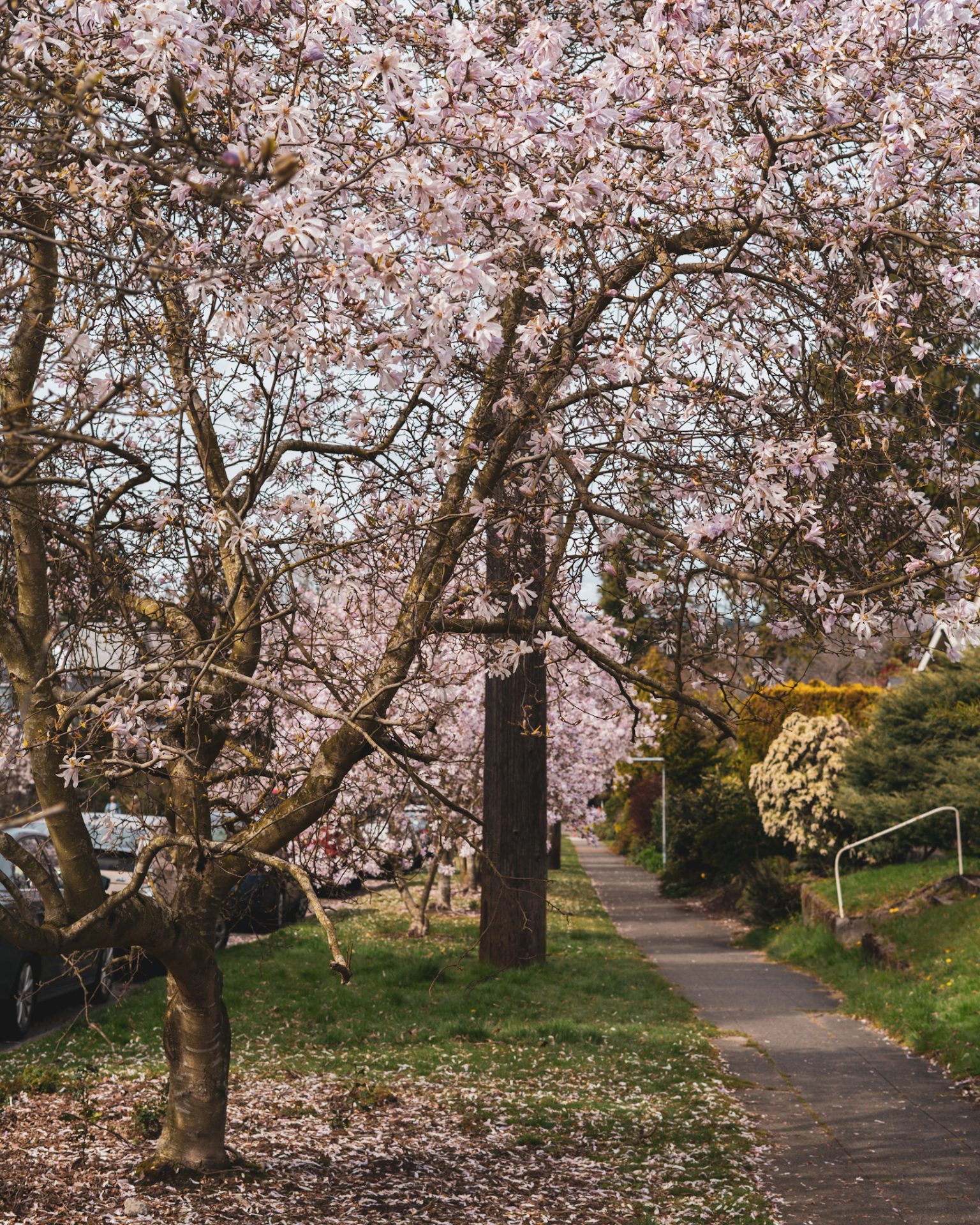 Maintain your mental health during the pandemic, go out for walks.